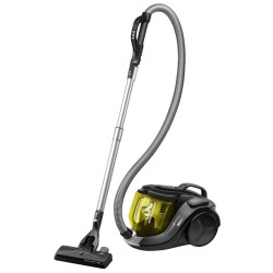 Aspirateur clearance rowenta ro7663ea