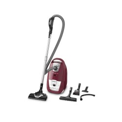 Aspirateur rowenta ro7663ea online